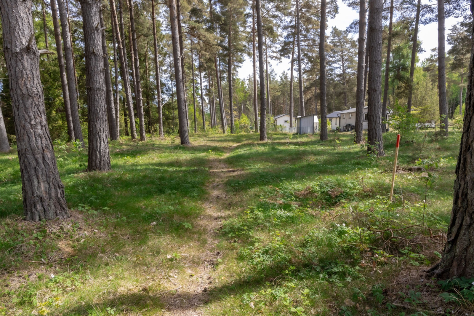  Sanda Stora Varbos 943