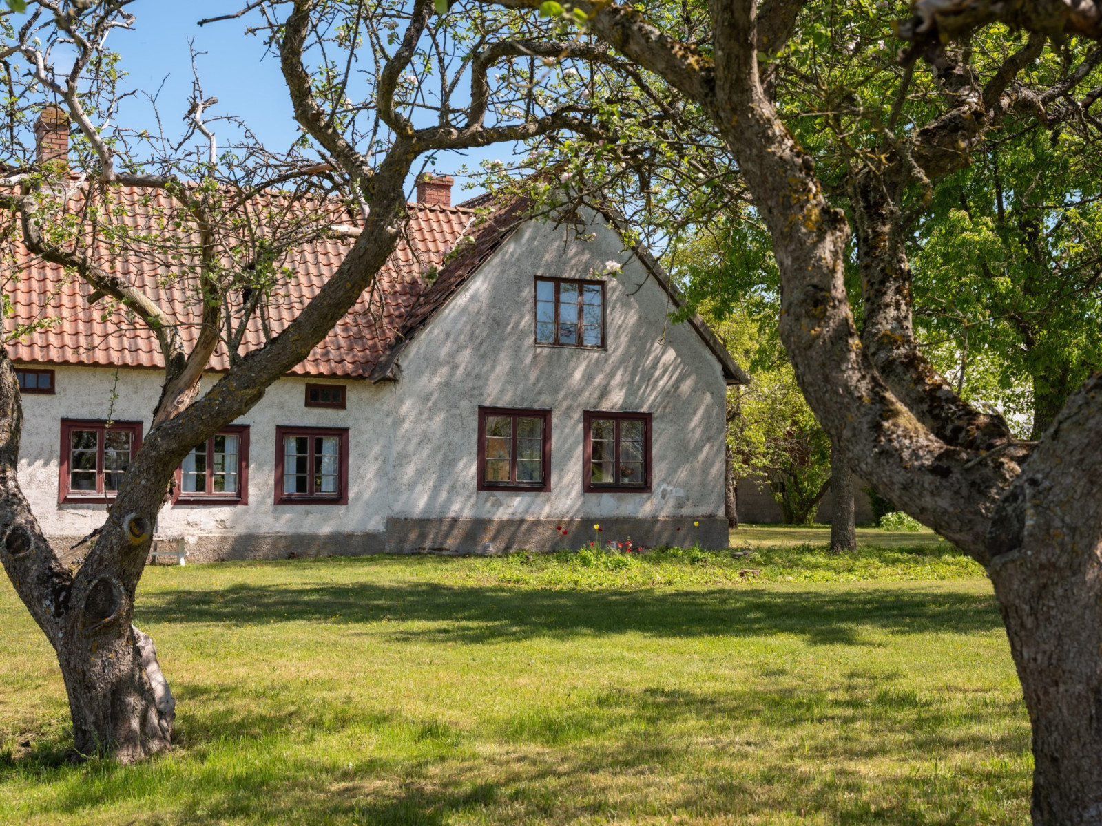  Silte Bjärges 549