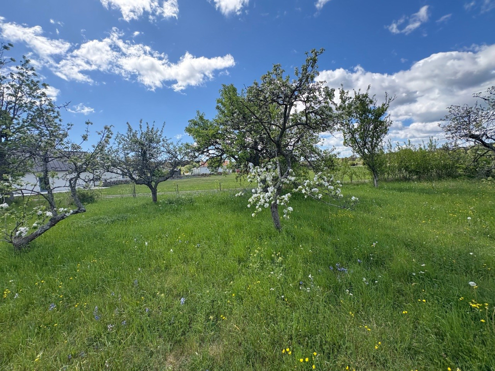  Östergarn Herrvik 471