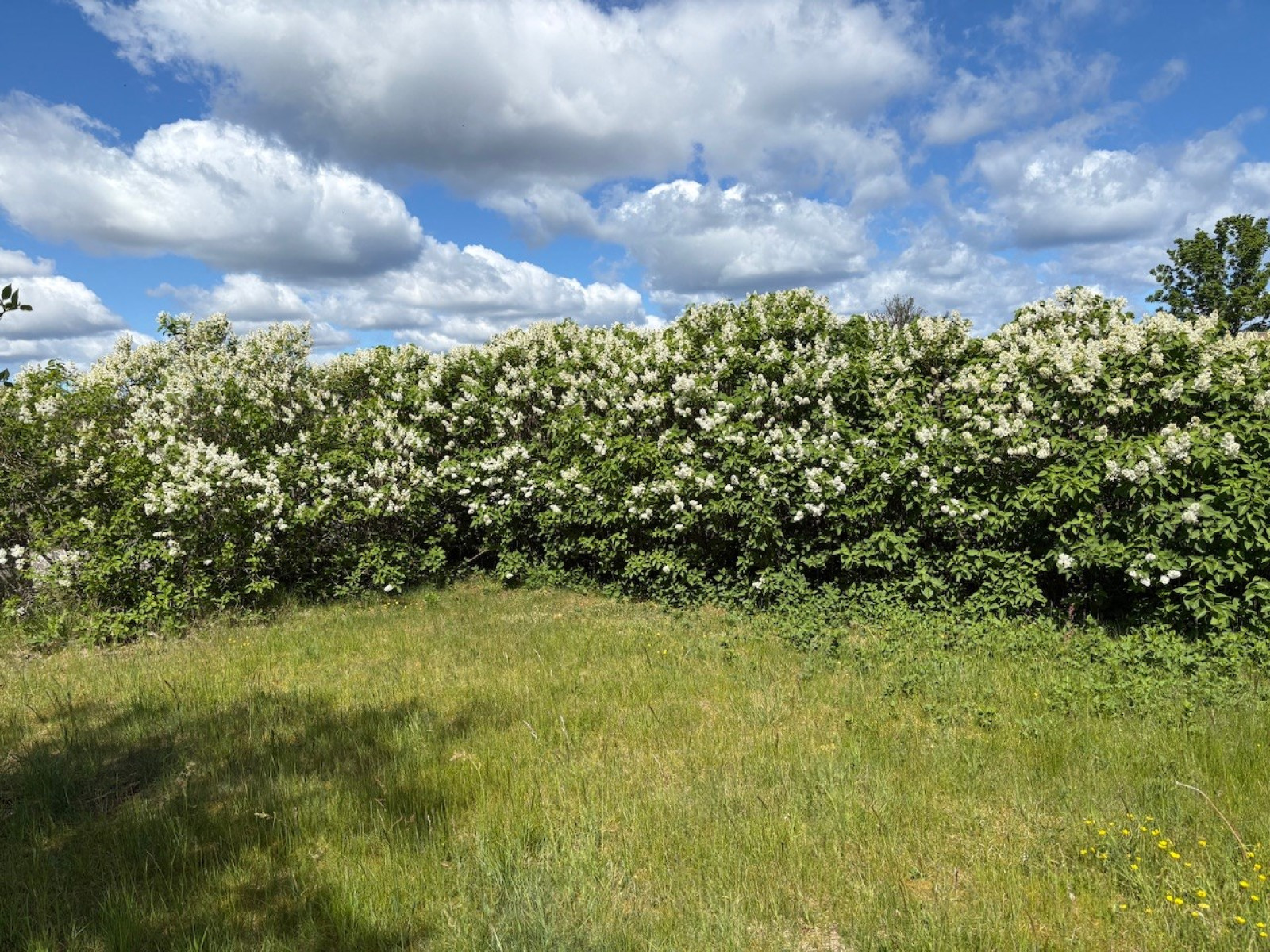  Östergarn Herrvik 471