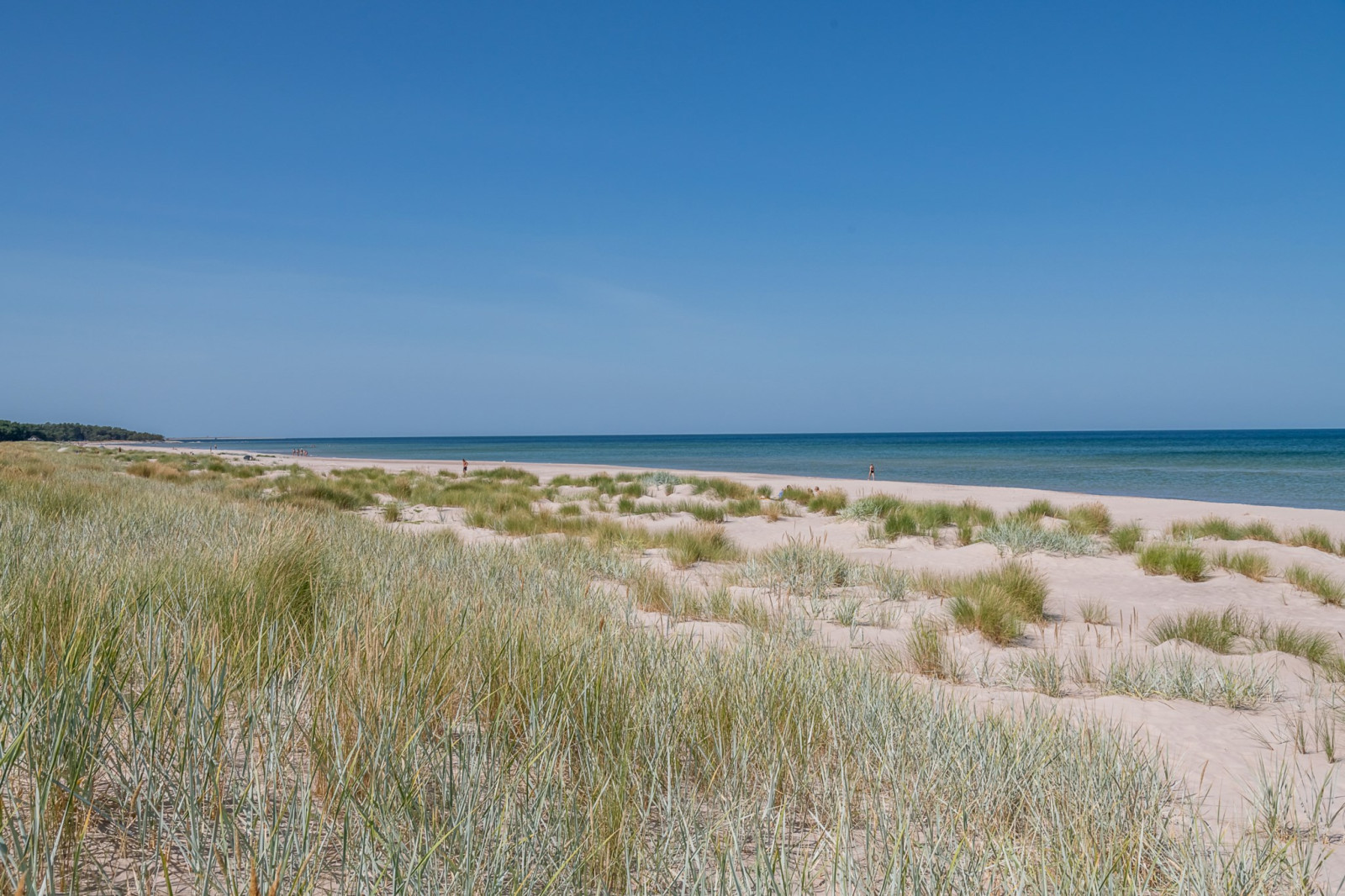  Fårö Skär 1329 och 1331