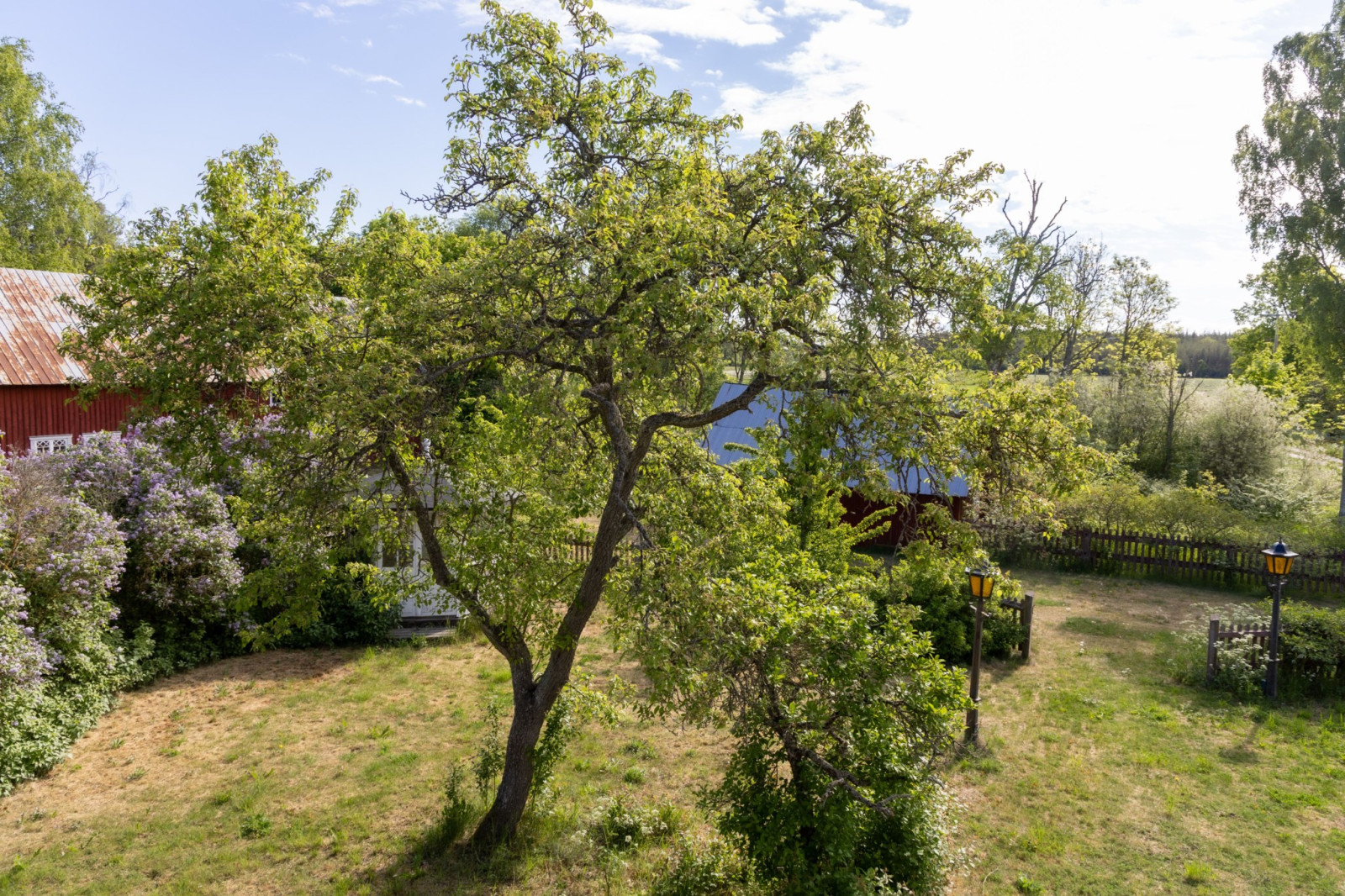  Eskelhem Sigvards 255