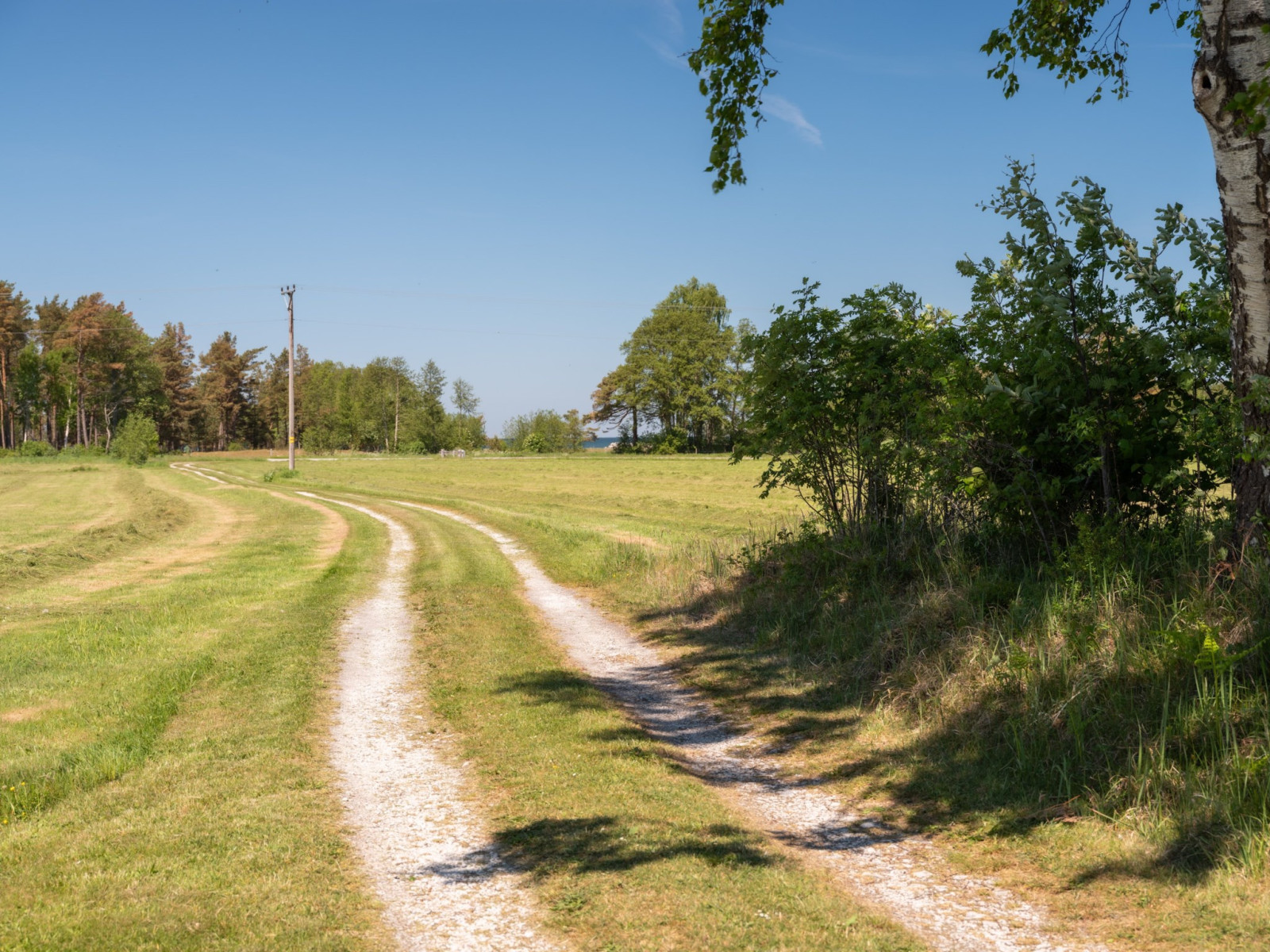  Fårö Skär 1329 och 1331