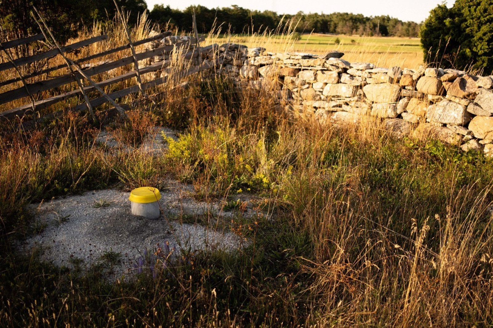  Fårö Hammars 2312D
