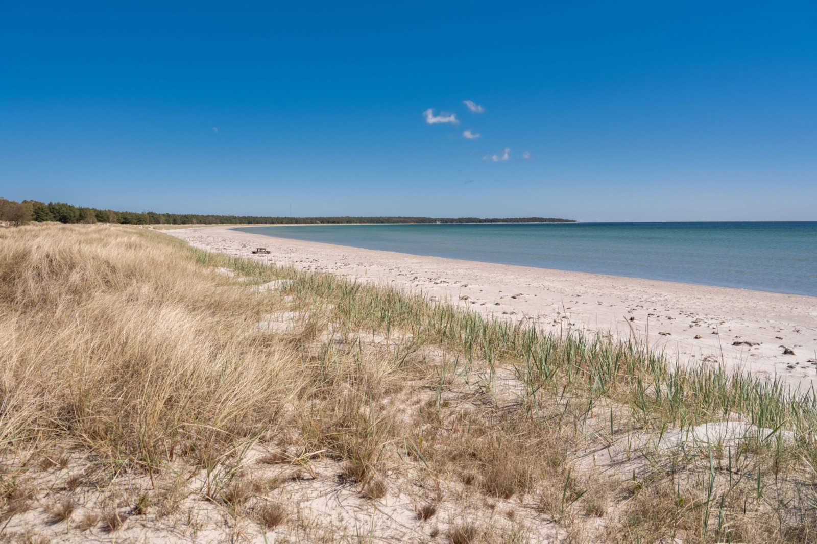  Fårö Hammars 2312D