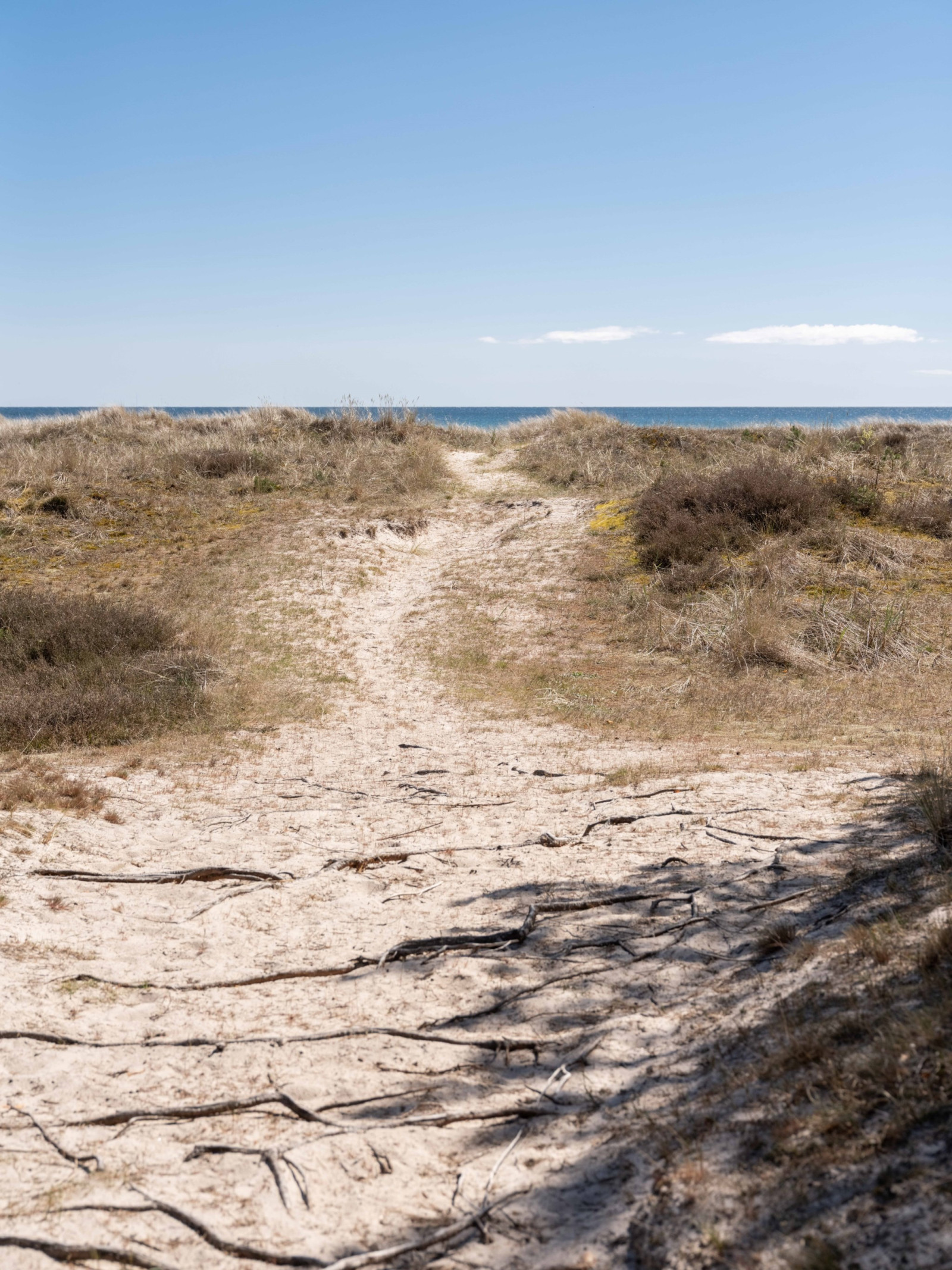  Fårö Hammars 2312D