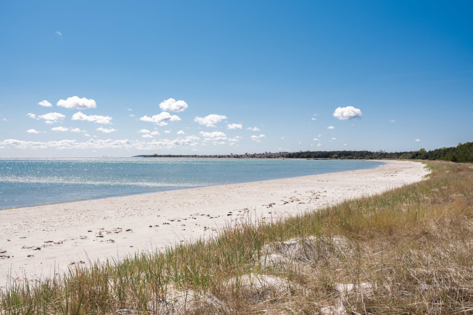  Fårö Hammars 2312D