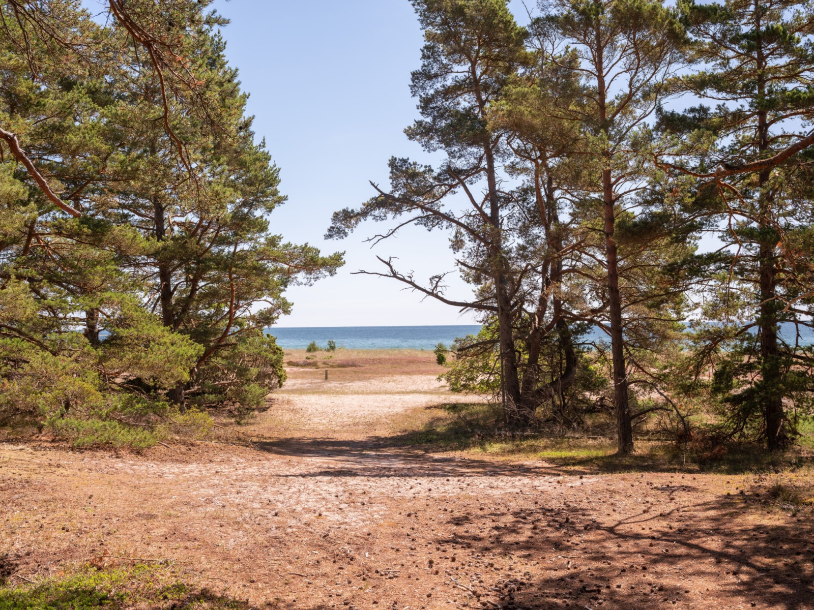  Gammelgarn Skogby 757