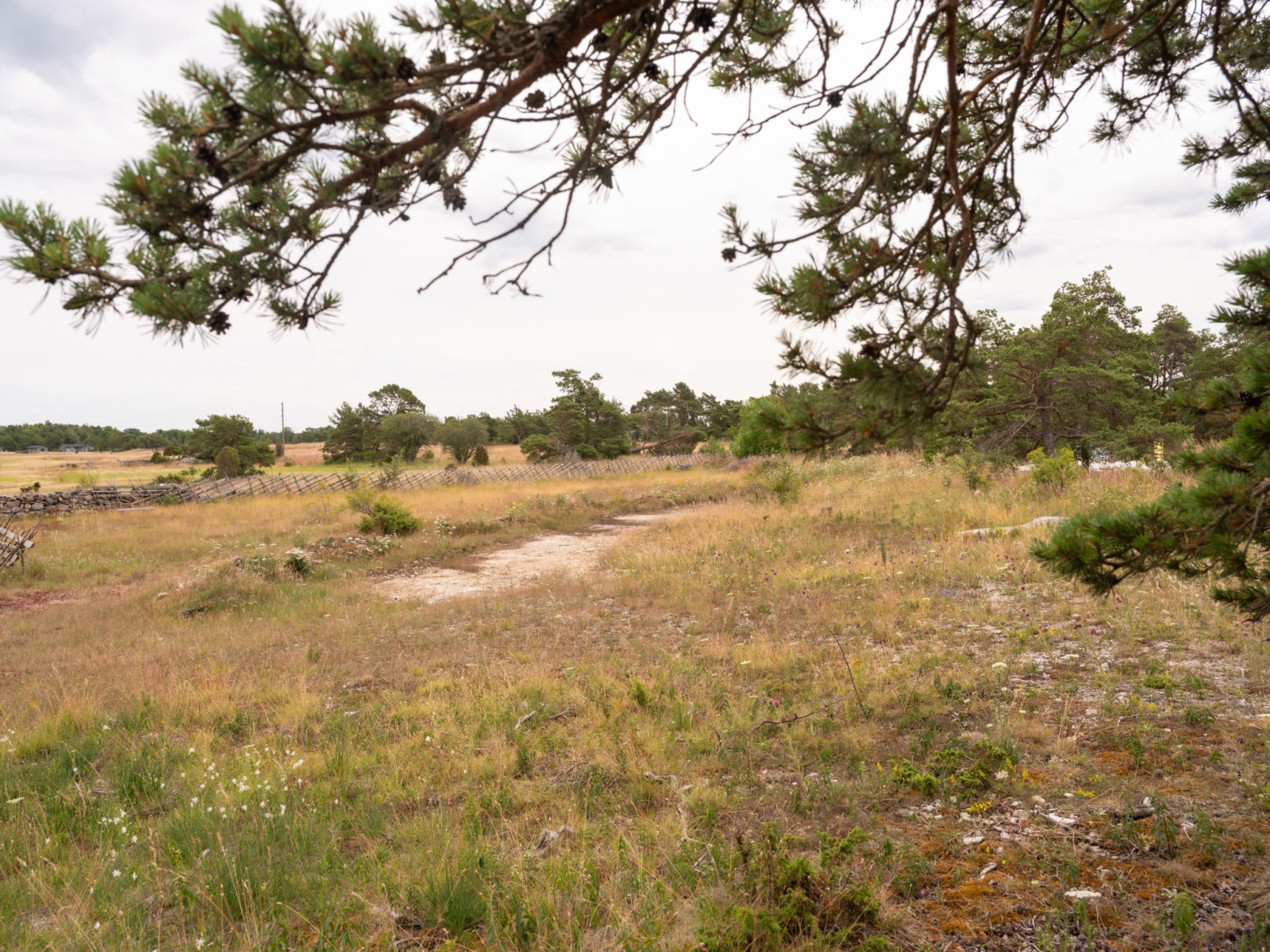  Fårö Hammars 2312D