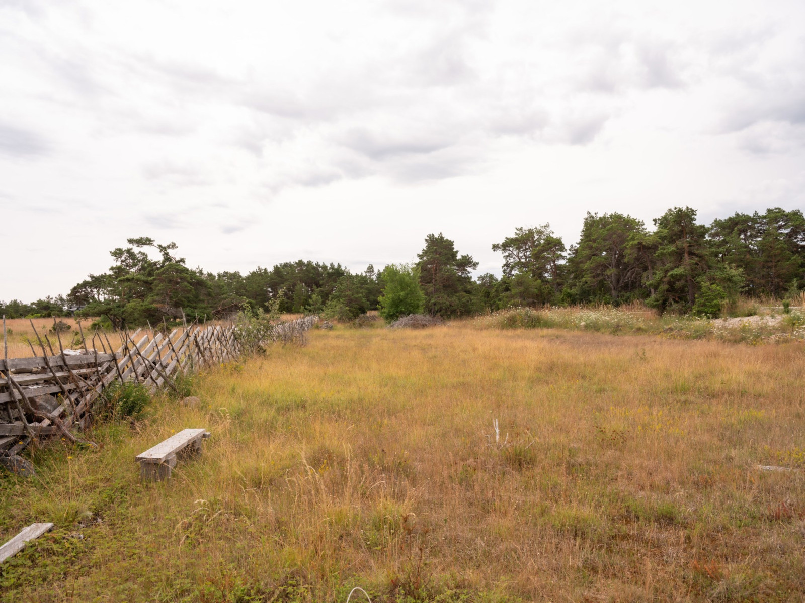  Fårö Hammars 2312D