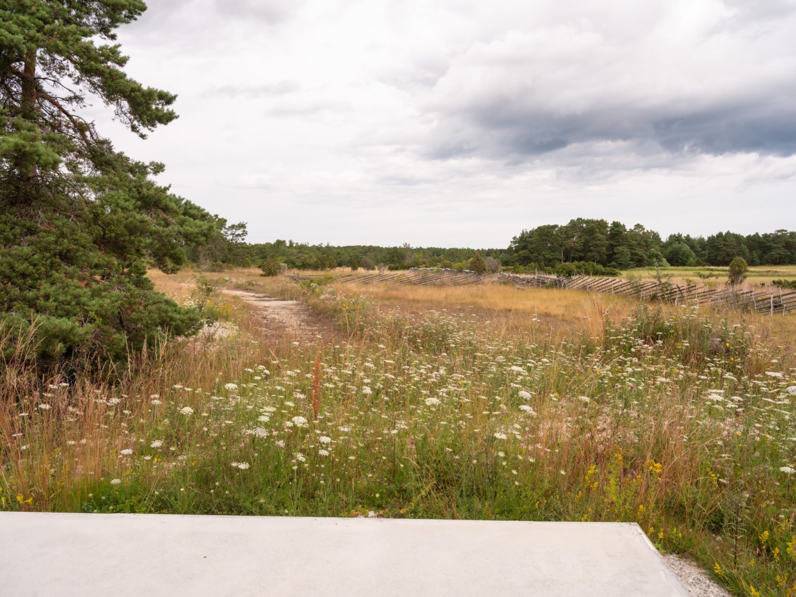  Fårö Hammars 2312D