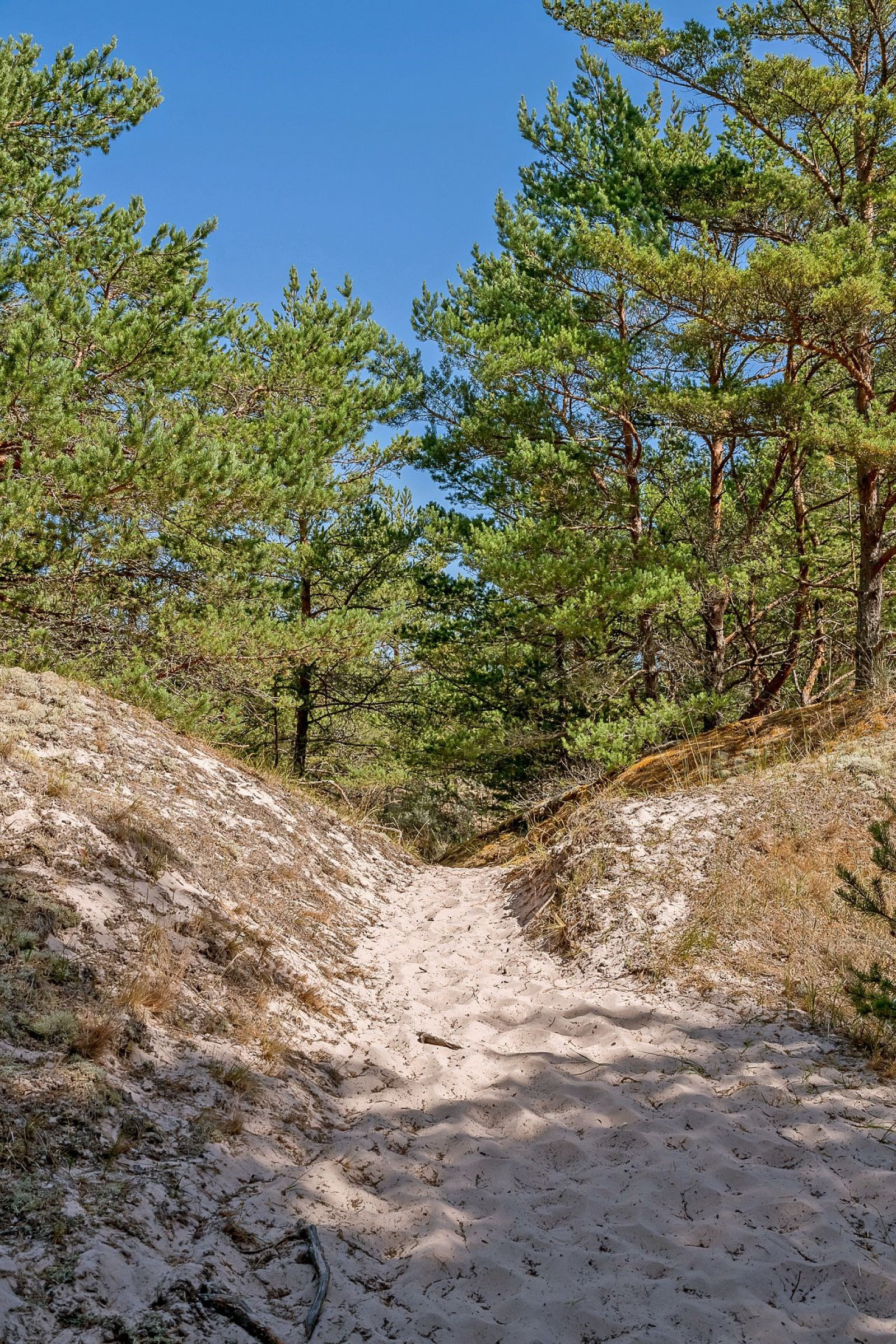  Fårö Ödehoburga 1420