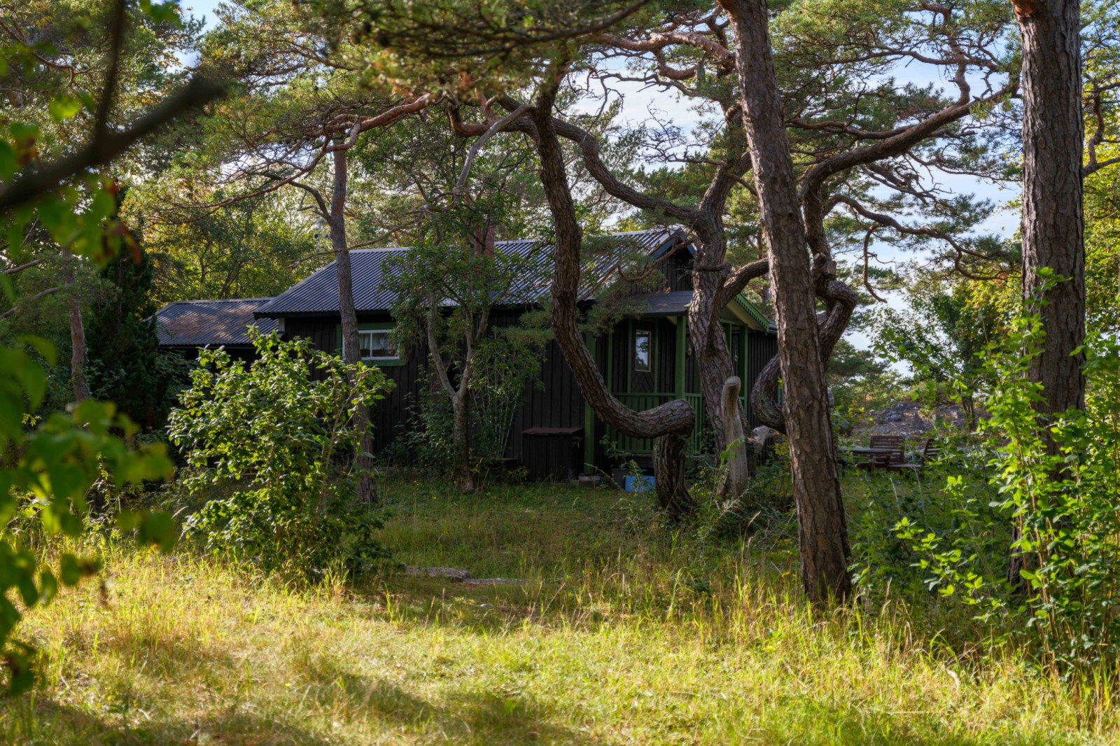  Bergbetningen 25