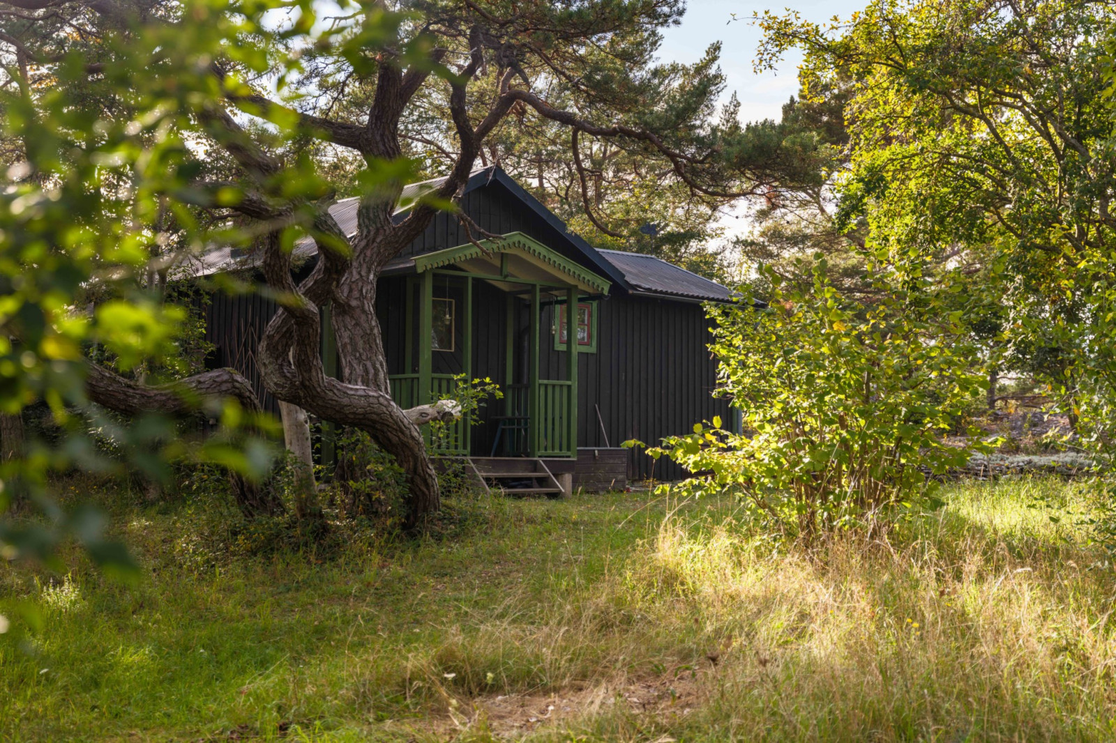  Bergbetningen 25