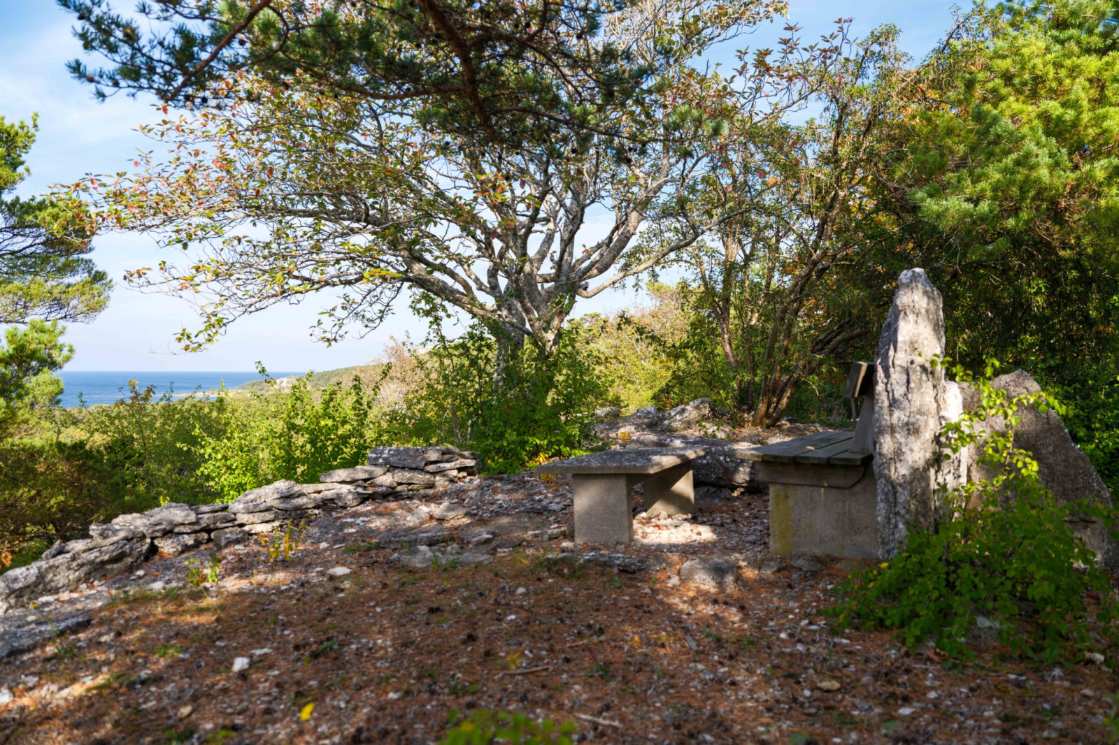  Bergbetningen 25