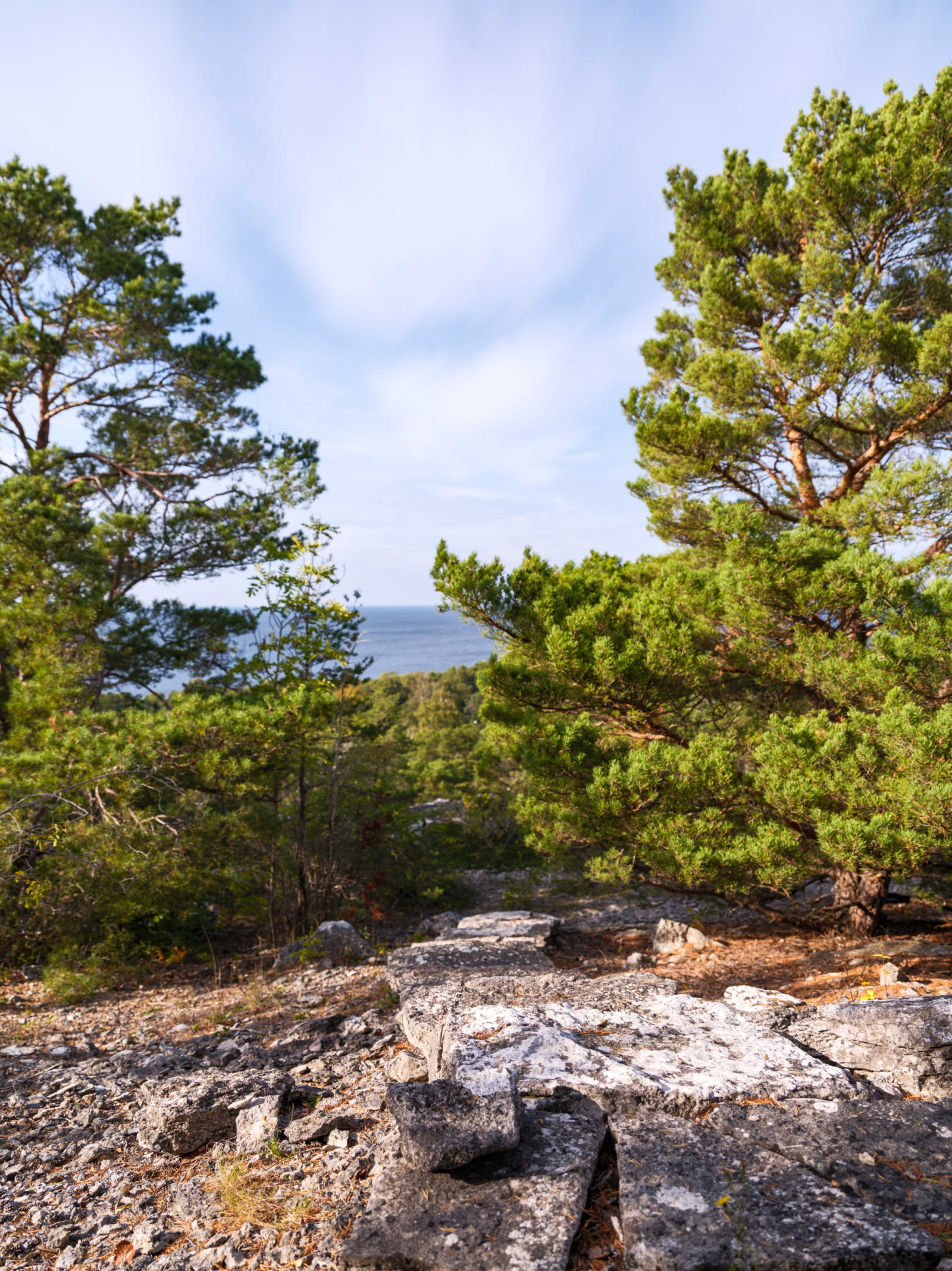  Bergbetningen 25