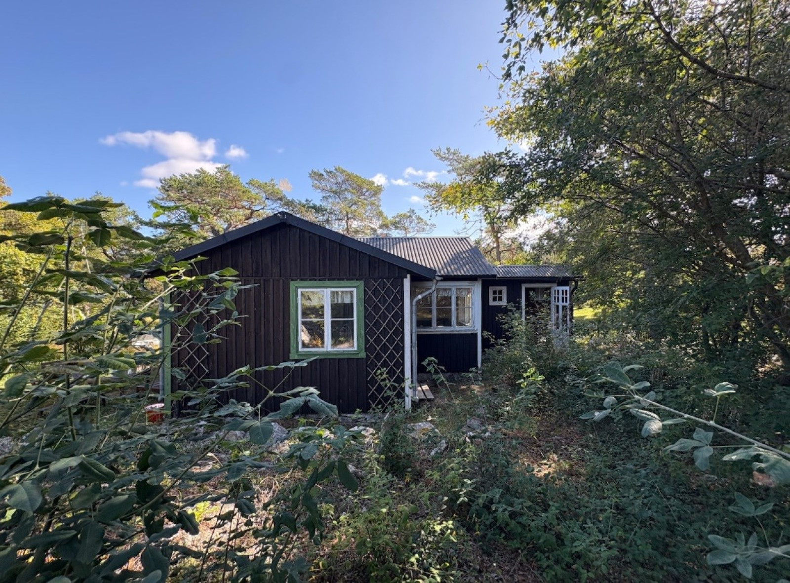  Bergbetningen 25