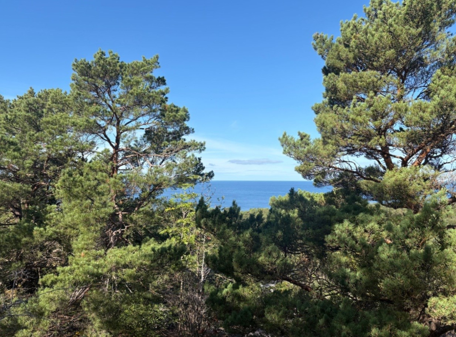  Bergbetningen 25