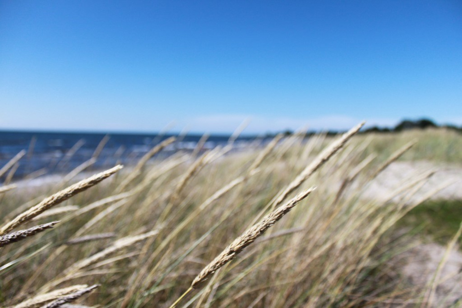 Tofta strand Tofta Oxbärsvägen 7C